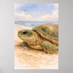 Poster Tartaruga Marinha Praia Oceânica