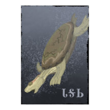 Tartaruga Mergulha Muito Profunda