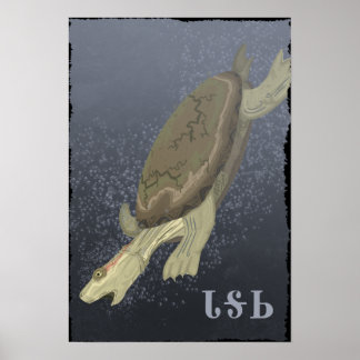 Pôster Tartaruga Mergulha Muito Profunda