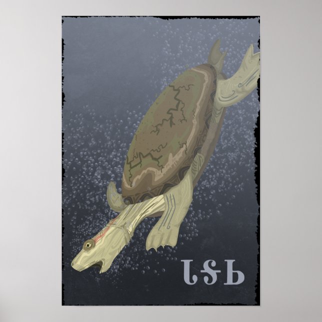 Pôster Tartaruga Mergulha Muito Profunda (Frente)