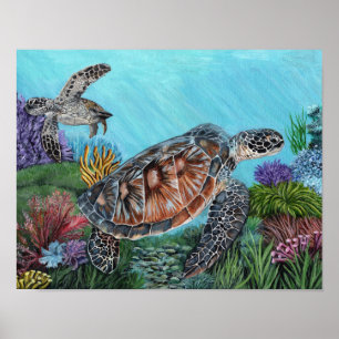 Poster Tartarugas Marinhas