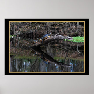 Pôster Tartarugas No Rio Fe, Papais noeis 520