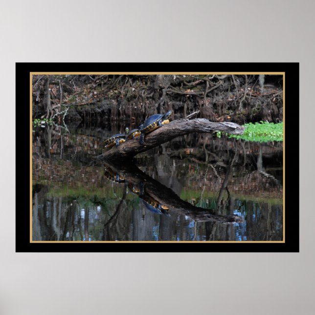 Pôster Tartarugas No Rio Fe, Papais noeis 520 (Frente)