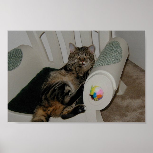 Pôster Tasha Bear (Frente)