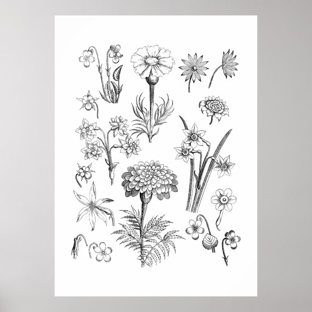 Poster Tattoo Flower and Plants Illustration (Frente)