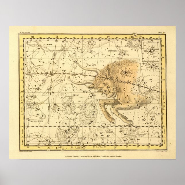 Poster Taurus (Frente)