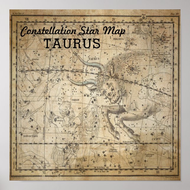 Pôster Taurus Bull Constulation Star Map May (Frente)