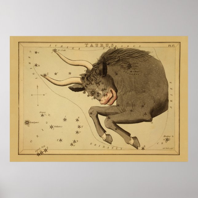 Pôster Taurus - Sinal de Vintage da Imagem Zodíaca (Frente)