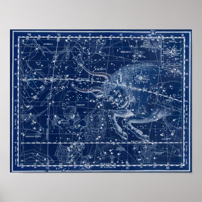 Poster Taurus Zodiac - Sinal de Ilustração Vintage (Frente)