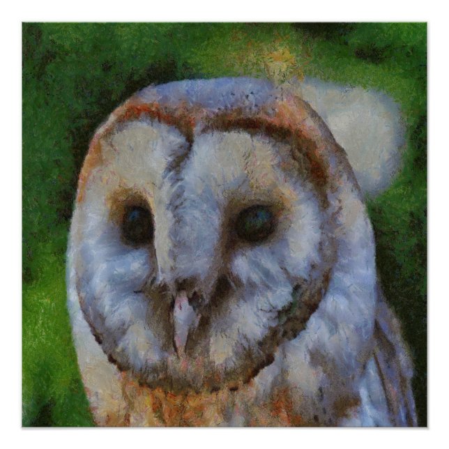Pôster Tawny Owl Em Arte Pointilística (Frente)