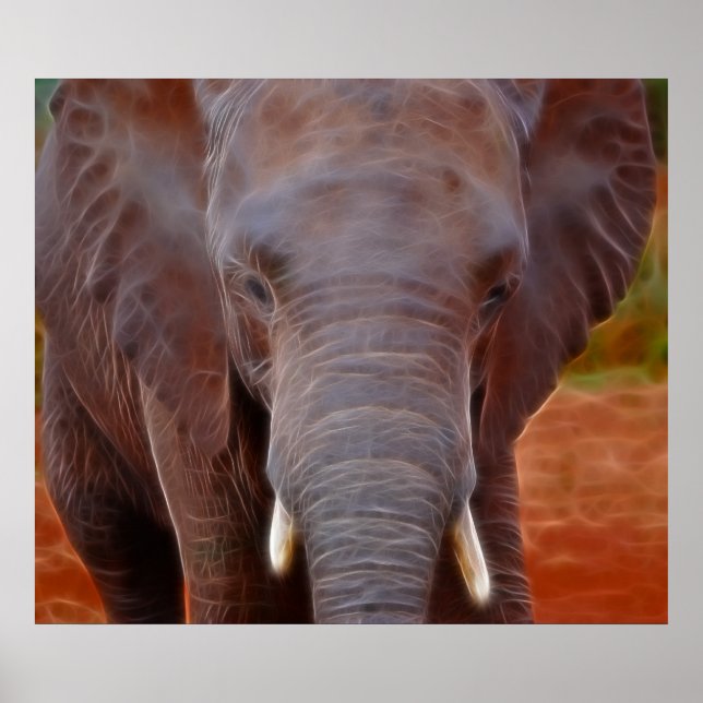 Poster Taxa de elefantes (Frente)