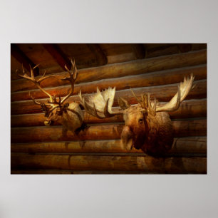 Poster Taxidermia - O albergue da caça
