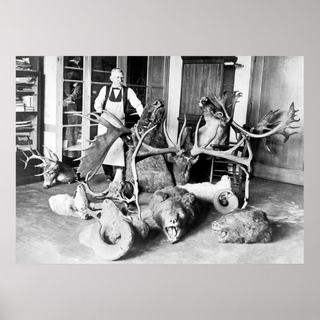 Poster Taxidermist profissional: 1923 (Frente)