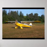 Taylorcraft, BC-12, 1941_Classic Aviation