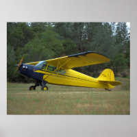 Taylorcraft, DC-65, 1941_Classic Aviation