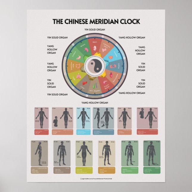 Poster TCM Meridian Organ Clock Poster, Chinese Medicine (Frente)