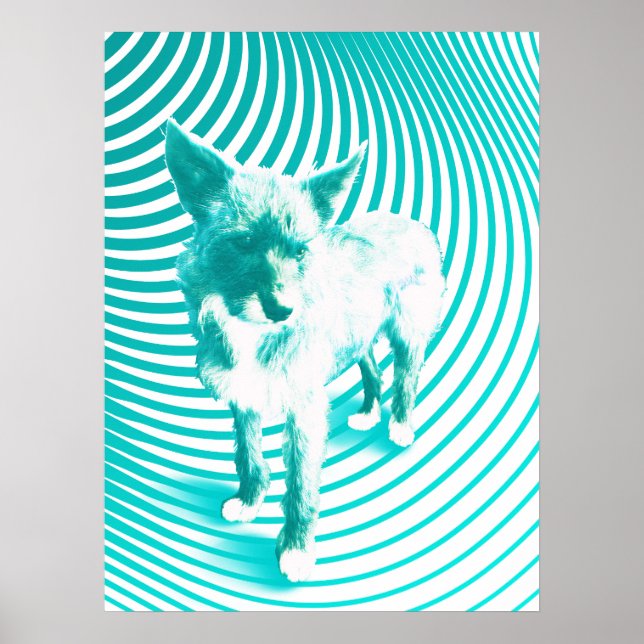 Poster teal terrier (Frente)