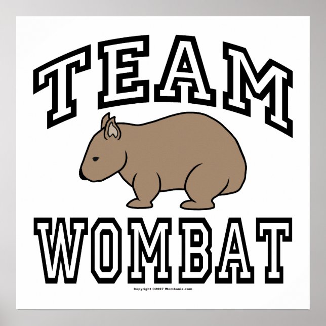 Poster Team Wombat (Frente)