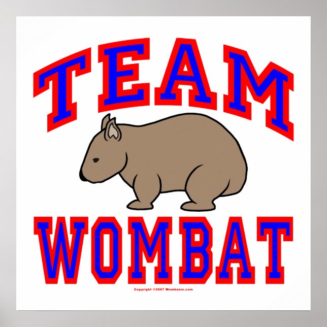 Poster Team Wombat VI (Frente)