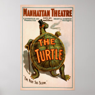 Poster Teatro New York Broadway de Manhattan a tartaruga
