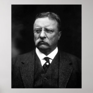 Pôster Teddy Roosevelt