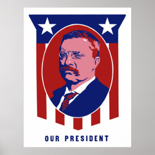 Pôster Teddy Roosevelt -- Nosso presidente