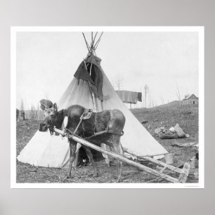 Poster Teepee de trabalho 1916 dos alces