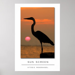 Poster Tela de Sun