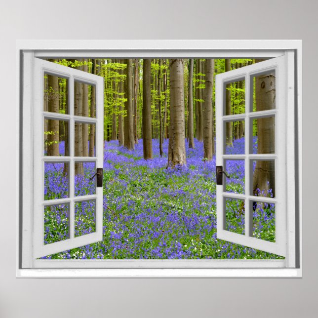 Poster Tela do Bluebells e Árvores Exibir Inverso (Frente)