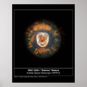 Poster Telescópio Hubble Eskimo Nebula 2392