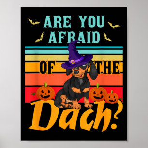 Poster Têm medo do Dach Cachorro Dachshund engraçado