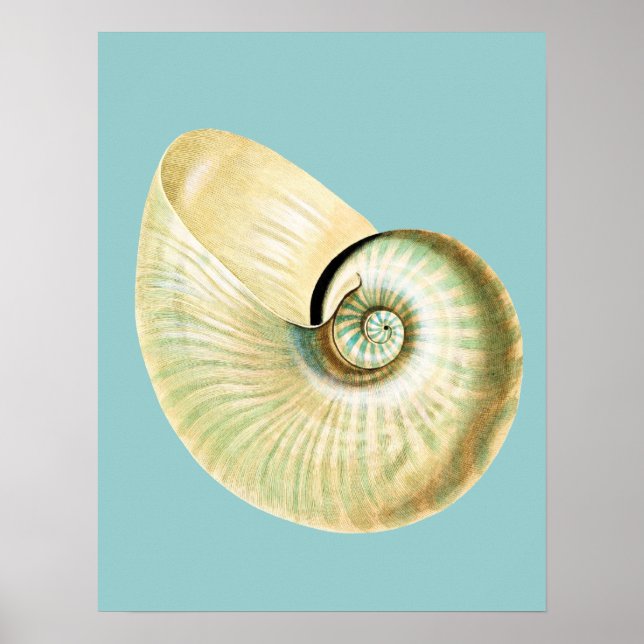 Pôster Tema de praia inspirado no Zen (Frente)