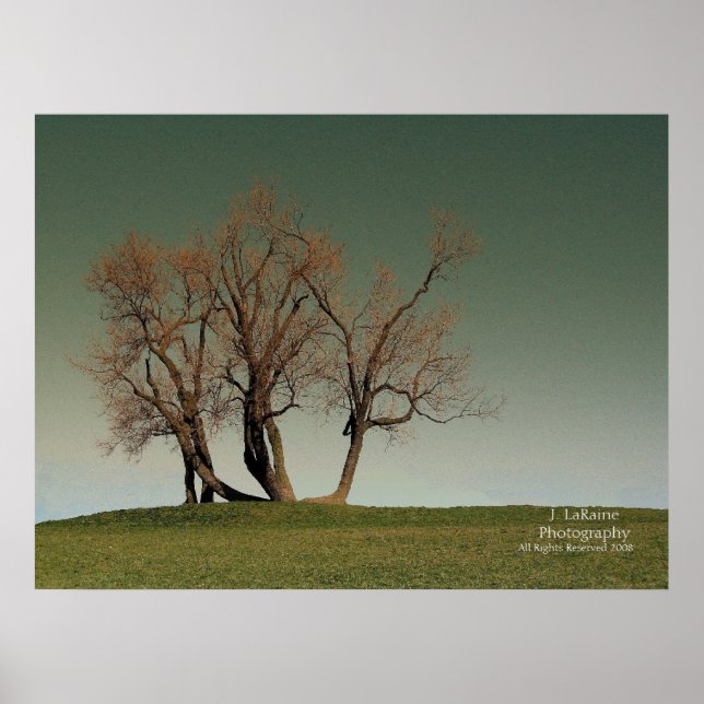 Pôster Tempestade (Frente)