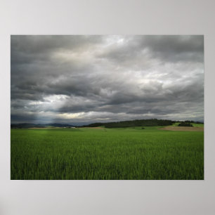 POSTER TEMPESTADE DE CAMPO DE TRIGO