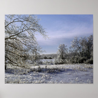 Poster Tempestade De Gelo Espalha Uma Floresta