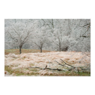 Pôster Tempestade de gelo Tennessee rural - fotografia