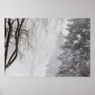 Pôster Tempestade de inverno, Ohio.