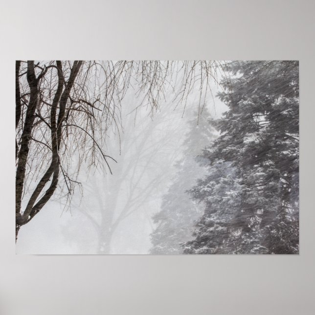 Pôster Tempestade de inverno, Ohio. (Frente)