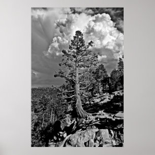 Poster Tempestade de Verão em Tahoe,