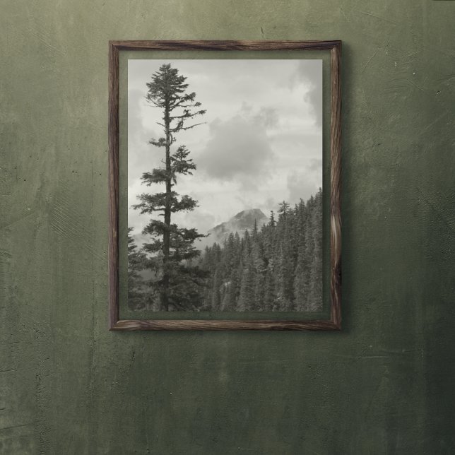 Pôster Tempestade Montanha Negra e Branca Foto brilhante (In Situ)