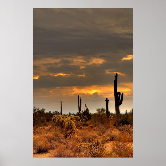 Pôster Tempestade no Deserto (Frente)
