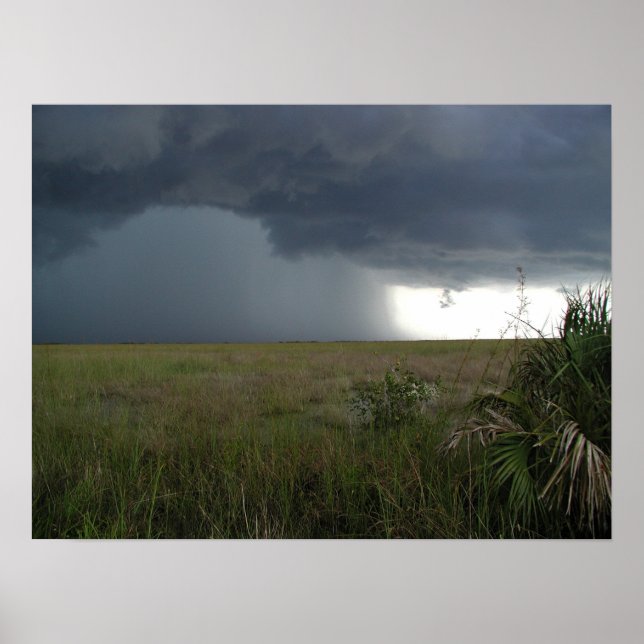 Poster Tempestade sobre as Everglades (Frente)