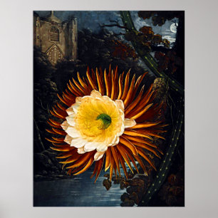 Pôster Templo De Arte Botânica De Flora Noite Soprando C