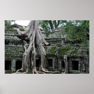 Pôster templo do prohm de Ta em cambodia