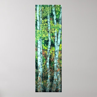 Poster Tempo de Aspen