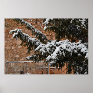 Poster Tempo de inverno, neve nas árvores