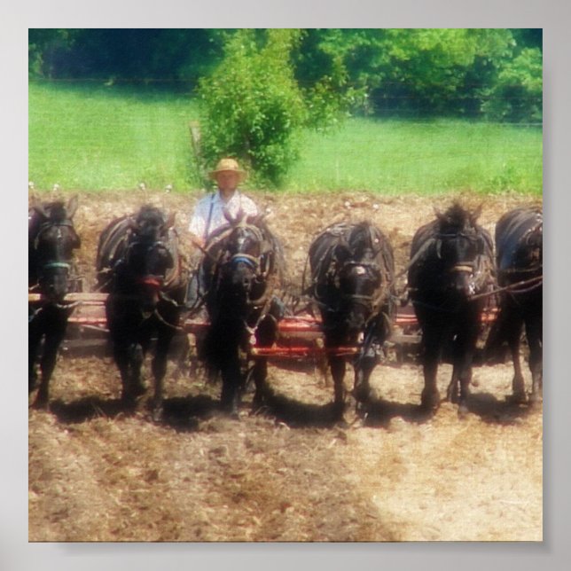 Poster Tempo de Plantação (Frente)