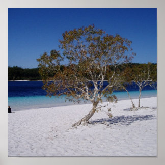 Poster Tempo de reaxamento