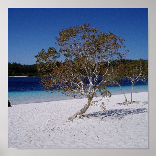 Poster Tempo de reaxamento (Frente)