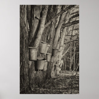 Pôster Tempo de Xarope do Maple